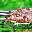 Barbecue meat on grill