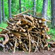 Firewood