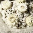 Arrangement of White Flowers