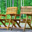 Garden Furniture 