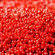 Cranberries
