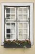 Window with flowers