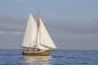 Tender with white sails