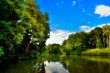 The river among the green shores