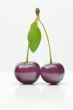 Cherries with leaves on white background