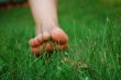 Feet in the grass