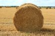 haystack