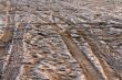 trail from the car on the frozen sand