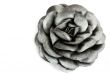 gray rose
