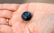 blueberries in the women`s hands