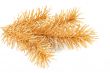 decorative golden branch