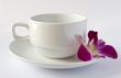 empty white cup and saucer and an orchid