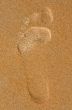 footprint in the sand on the beach