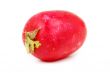 an appetizing red radish