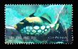 CHINA - CIRCA 1998: A Stamp printed in China shows coral reef fish , circa 1998