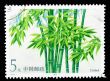 CHINA - CIRCA 1993: A Stamp printed in China shows Mao Bamboo, circa 1993
