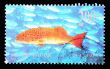 CHINA - CIRCA 1998: A Stamp printed in China shows coral reef fish , circa 1998