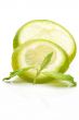 Slices of lime with a branch mint