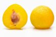 Fresh and juicy yellow plums
