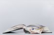 Money in book
