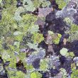Texture
