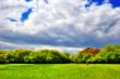 cloudy sky over the green forest