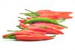 Multi-colored peppers on a white background
