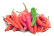 Multi-colored peppers on a white background