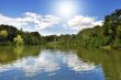 Lake in the forest