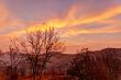 Dried flora in mountains at sunset