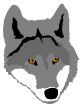 illustration of wolf