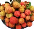 bunch of Lychee