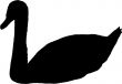 swan silhouette