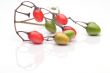 Coloured berry nightshade