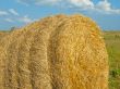 Straw bale