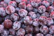 Plums