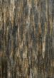 Old cracked wood