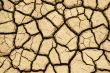 Cracked earth