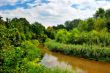 The river on a sunny day