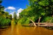 River in forest on a sunny day