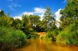 River in the forest in summer under a blue sky