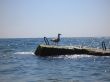 Seagull staying near a seashore. Summertime nature