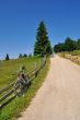 Bicycle on country road