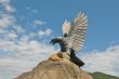 Mountain eagle sculpture