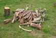 Firewood for stove