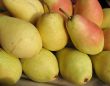 Ripe yellow-red pears