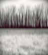 Blurred trees
