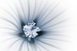 Just flower