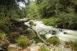 Umia River, Caldas de Reis, Spain