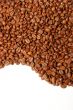 curve of coffee beans